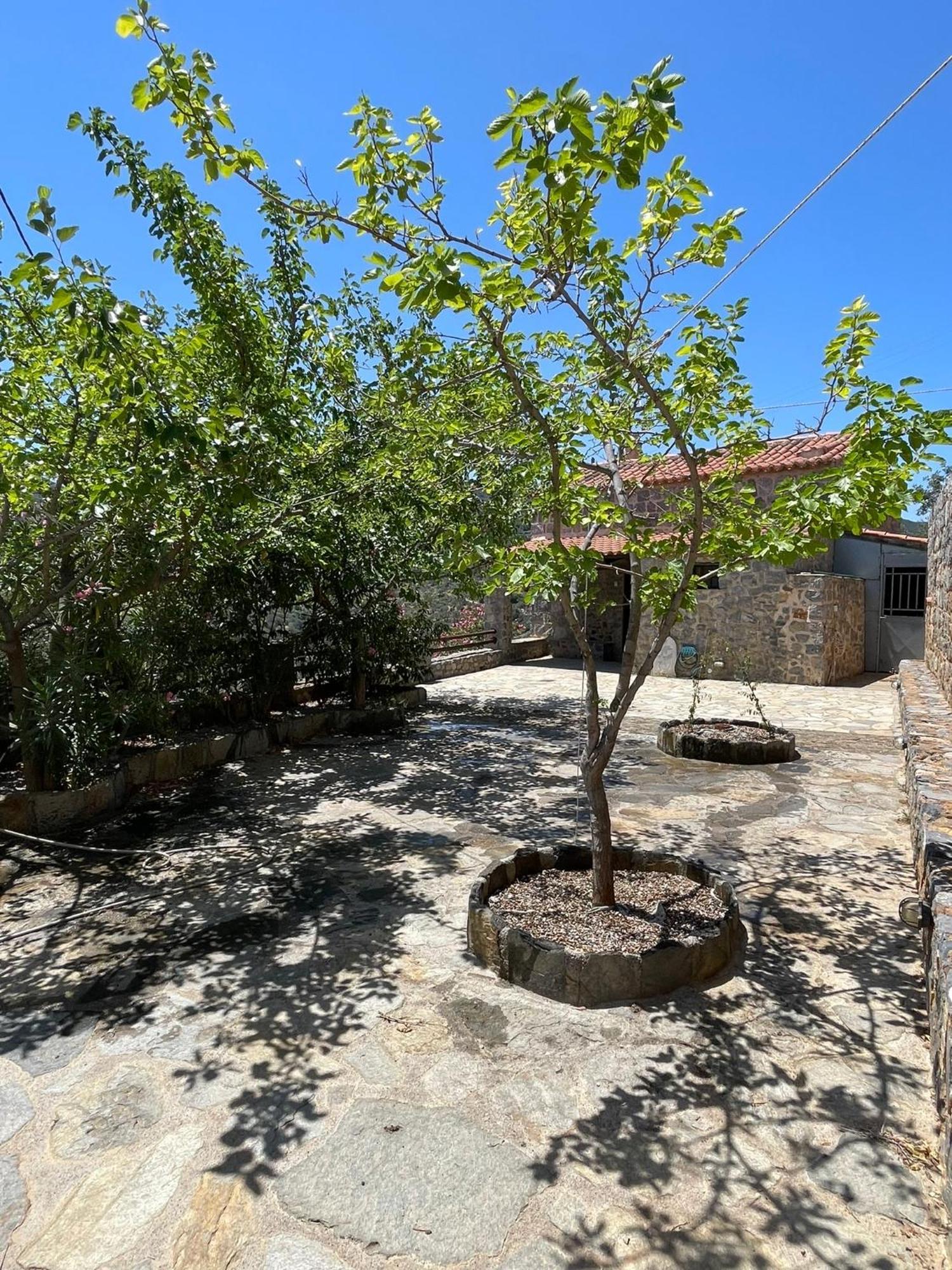 Guesthousekamara Monemvasziá Kültér fotó